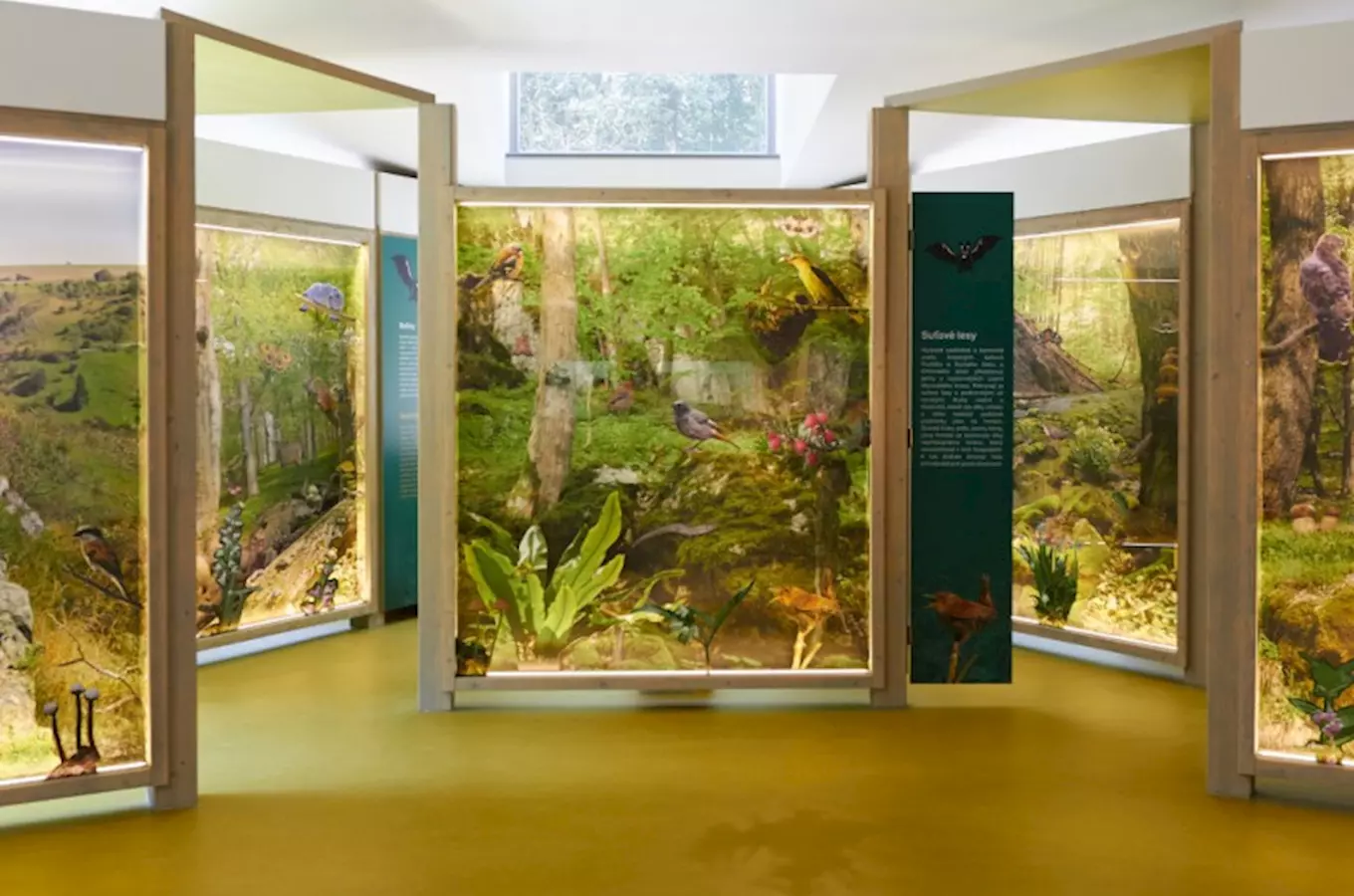 Moravian Karst Nature House