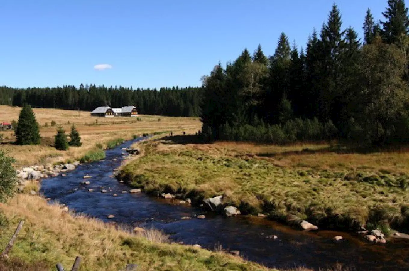 Šumava National Park
