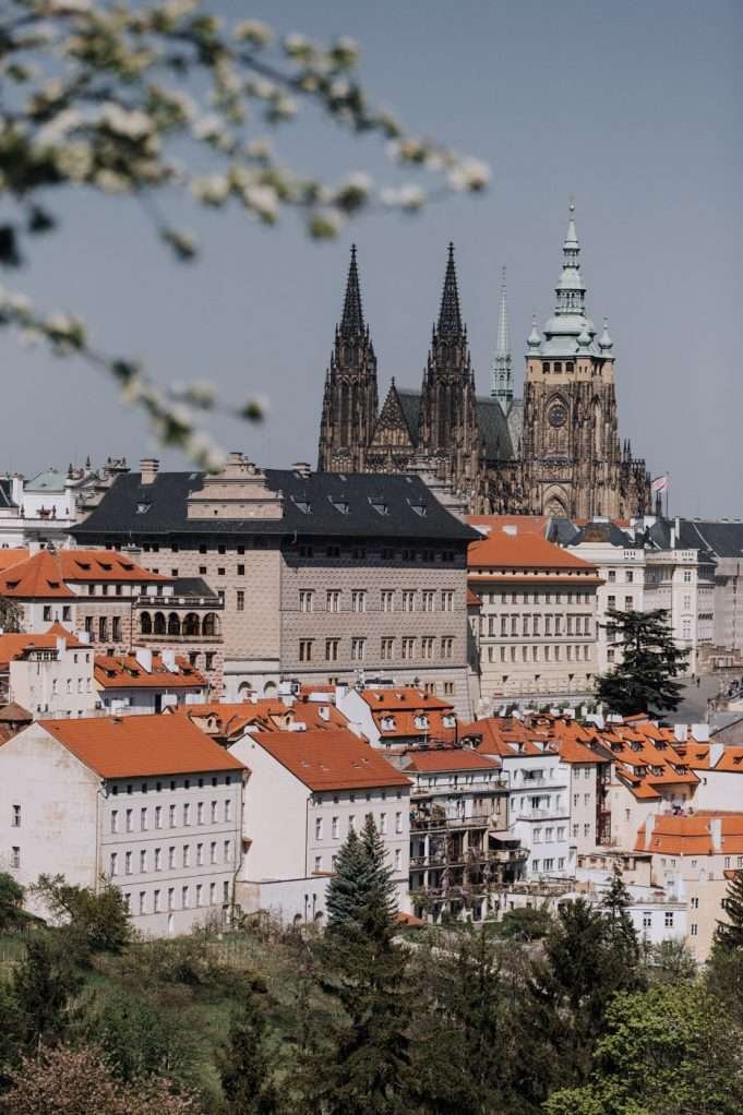 פראג-פטרין-גבעה-אביב-פרח-פורח-ונוף