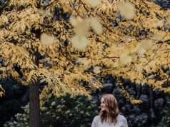 Wallenstein Autumn Fall