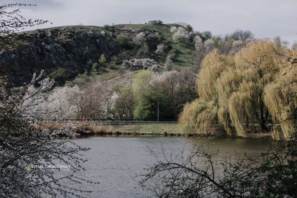 Outdoor swimming spot in Prague