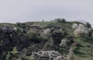 Divoká Šárka Park