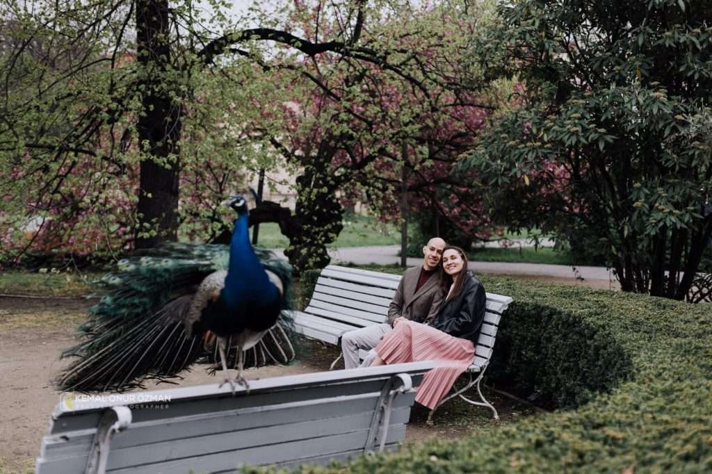 The Vojan Gardens in Prague