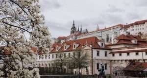 Walledstein Garden Spring Photos