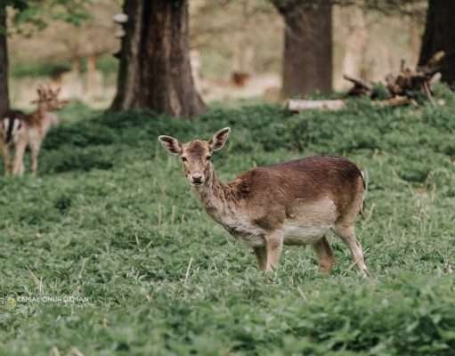 Don’t Miss These Books About Prague
