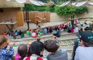 Red pandas at the Prague Zoo