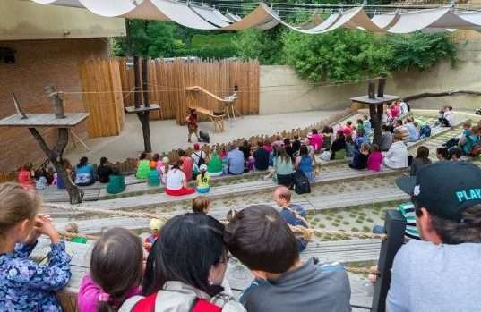 Red pandas at the Prague Zoo