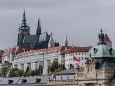 Which trees and fruit bushes grow in Prague