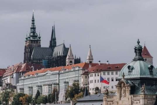 Which trees and fruit bushes grow in Prague