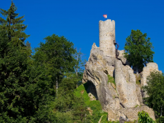 Ruins of Frýdštejn Castle
