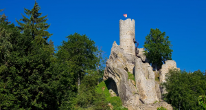 Ruins of Frýdštejn Castle