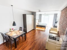 Albertov Rental Apartments