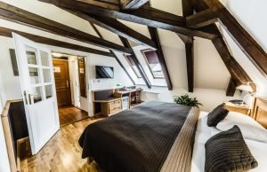 阿奇博尔德在查理大桥 Archibald At the Charles Bridge