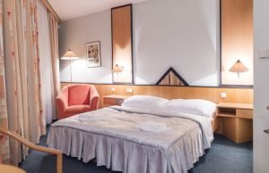 호텔 체치 프라하 Hotel Čechie Praha