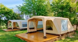 Dvůr Králové Dvůr Králové