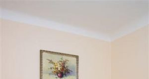 Hotel U Zlatého jelena (Golden Deer Hotel)