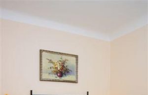 Hotel U Zlatého jelena (Golden Deer Hotel) Hotel U Zlatého jelena (Golden Deer Hotel)