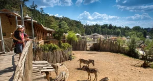 Jihlava Zoo Jihlava Zoo