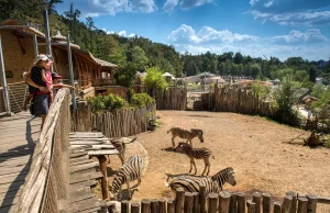 ืื ืืืืืช ืฉื ื'ืืืืื Jihlava Zoo