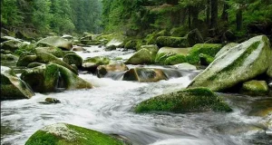 Šumava National Park Šumava National Park