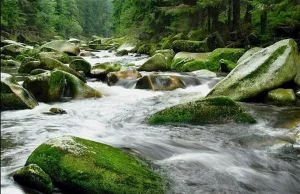 הפארק הלאומי Šumava Šumava National Park