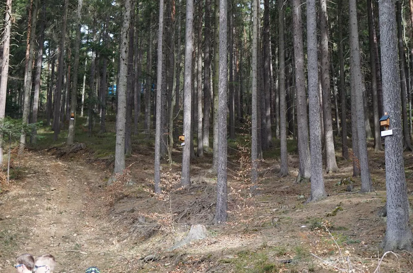 Bohuslav Nauš birdhouse trail in Prachatice