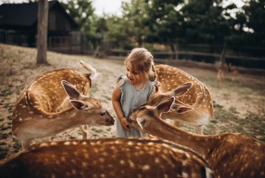 Chleby Zoo Chleby Zoo