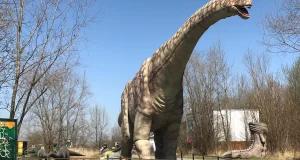 DinoPark Ostrava DinoPark Ostrava