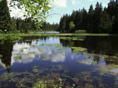 House of Nature on Kladská