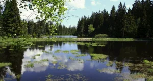 House of Nature on Kladská House of Nature on Kladská