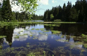 클라드스카의 자연의 집 House of Nature on Kladská