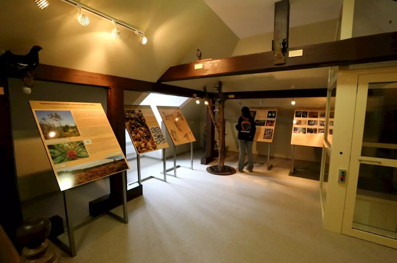 House of nature of Slavkovské les