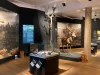 פראג לקרלובי וארי Karlovy Vary Museum