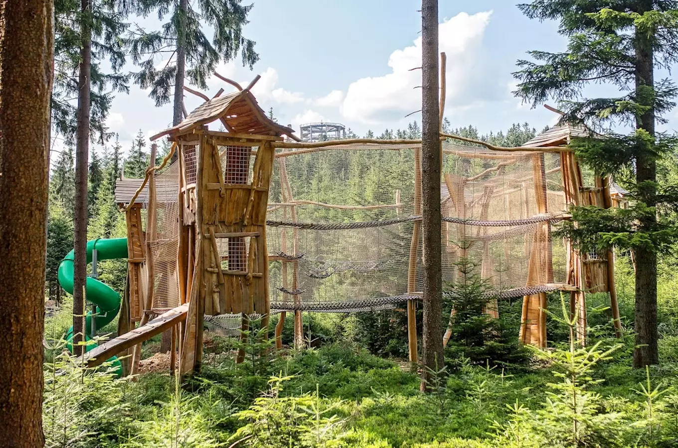  Kingdom of the Forest in Lipno