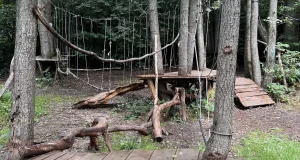 Lesopark Horka Lesopark Horka