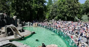 Prague Zoo Prague Zoo