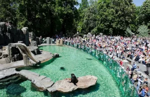 zoo w Pradze Prague Zoo