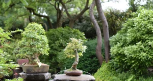 Botanical Garden Prague in Troja