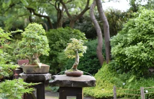 식물원 Prague in Troja