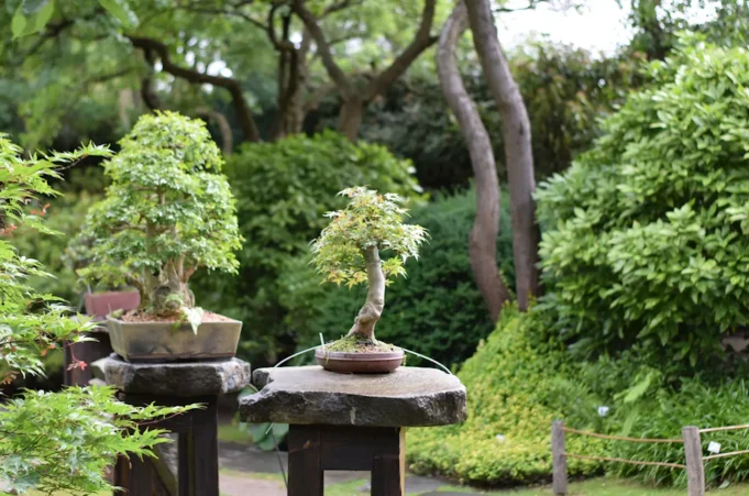 Troja'daki Prag1 Prague in Troja