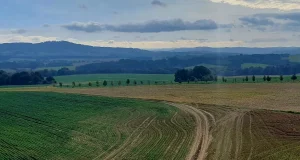 Silesianka Silesianka