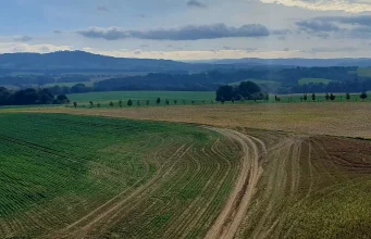 Silesianka Silesianka