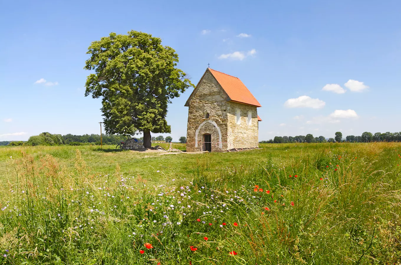 Slavic hillfort in Mikulčice