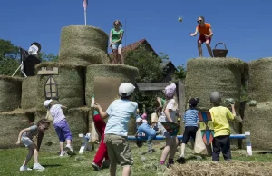 A Visit to Farma Vraňany: A Strawberry Haven in the Heart of the Czech Republic