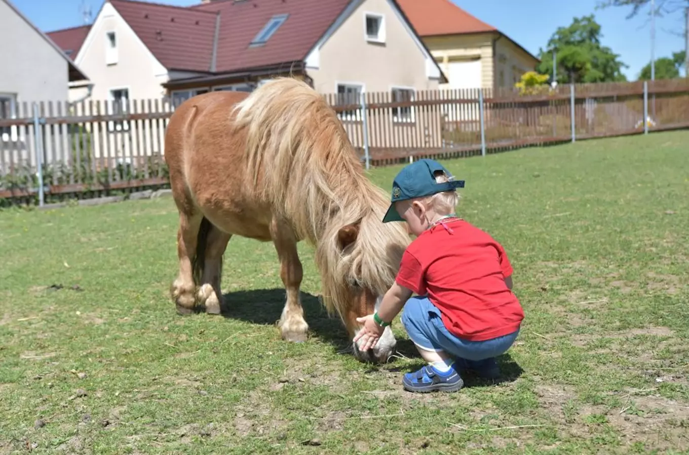 The Moulis farm in Milínov