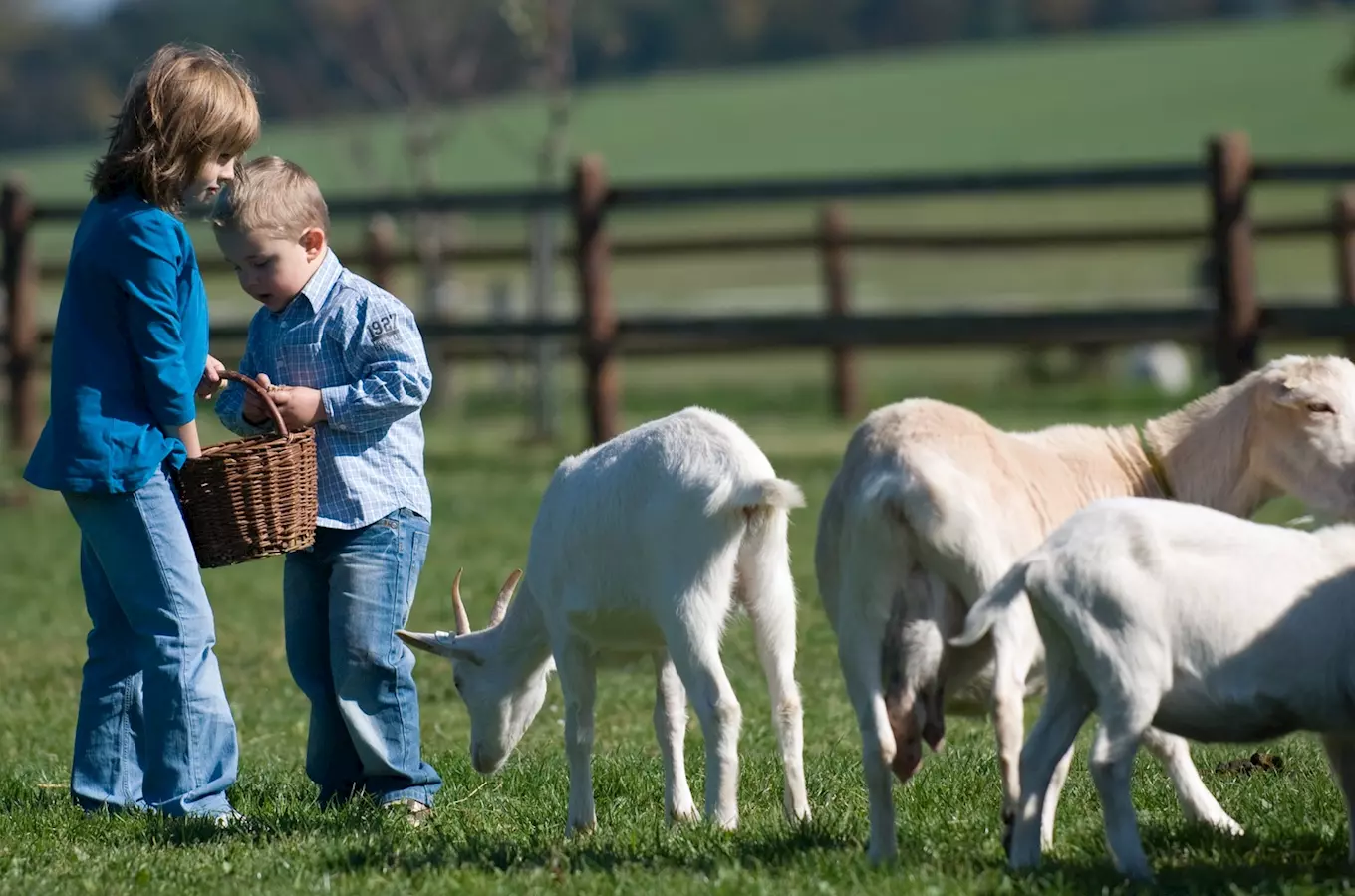The Moulis farm in Milínov