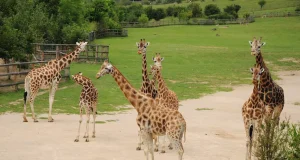 Ústí nad Labem Zoo