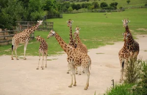 우스티 나드 라벰 동물원 Ústí nad Labem Zoo