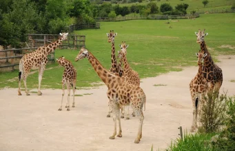 Ústí nad Labem Zoo