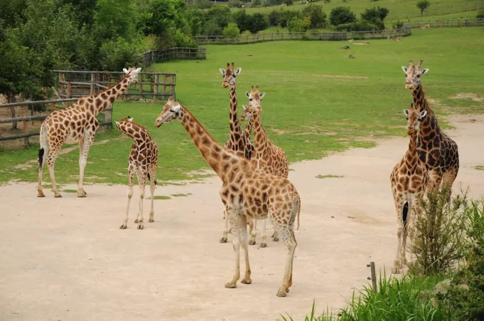Ústí nad Labem Hayvanat Bahçesi 1 Ústí nad Labem Zoo